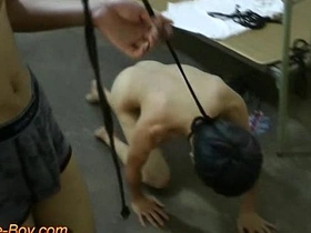 Young and straight Asian boy as a sex slave in BDSM doggy style bondage and training.